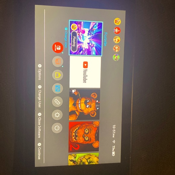Nintendo switch wild cat